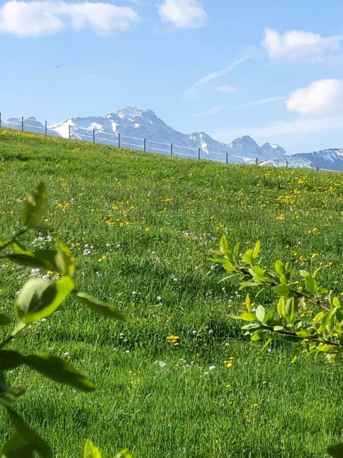 Schoenenbueel Teufen Exteriér fotografie